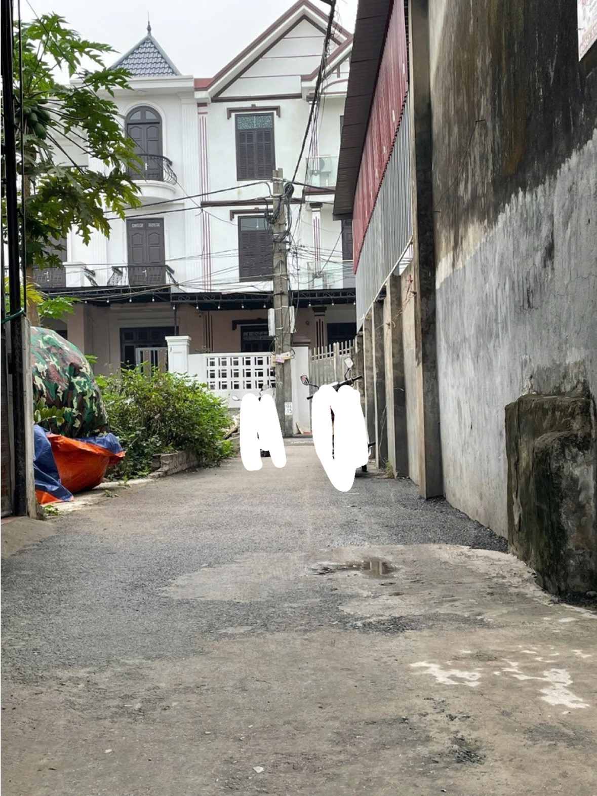 BÁN ĐẤT, THÁI BÌNH, MAI LÂM, ĐÔNG ANH