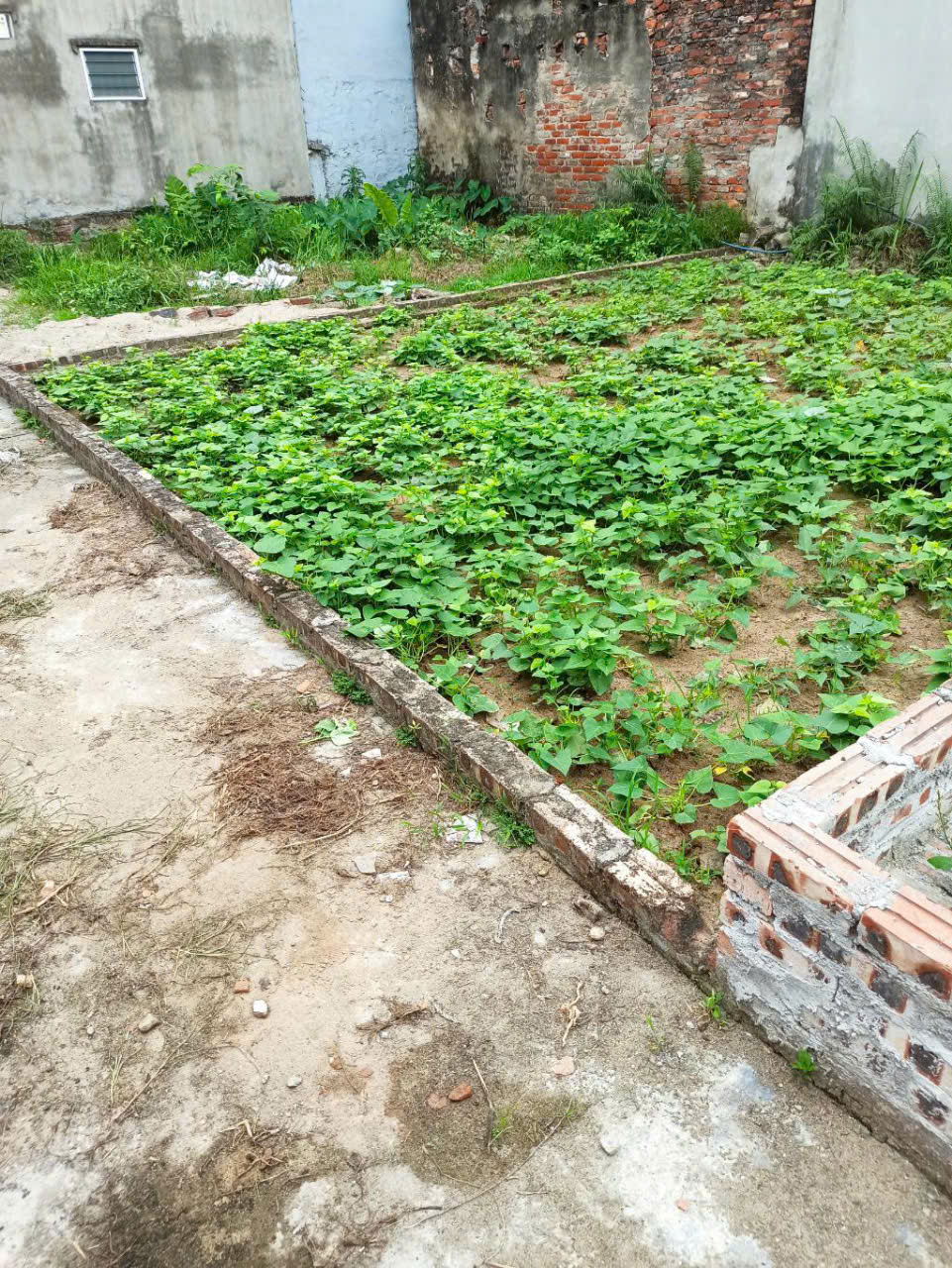 Bán Gấp Đất Đẹp - Dương Xá Gia Lâm Dt 40m Mt 5.7 m Giá 3.4 tỷ