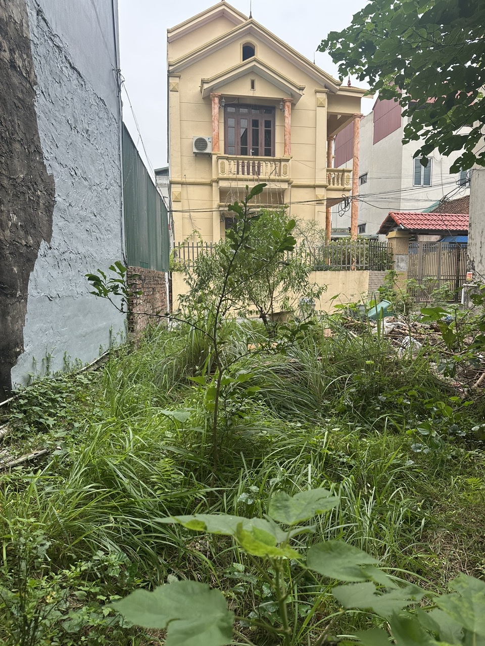 Bán 48m2 đất đẹp Mai Lâm – Đông Anh ô tô ngủ trong đất, 5 phút sang Long Biên!