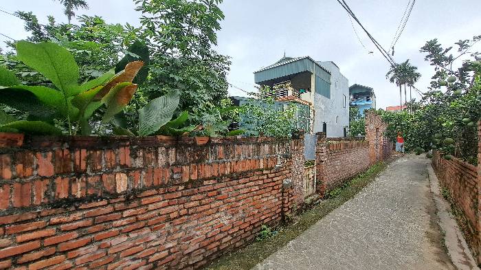 Bán đất KIM SƠN, 70m, nở hậu nhẹ, ô tô vào chỉ 3,2 tỷ. full thổ cư.