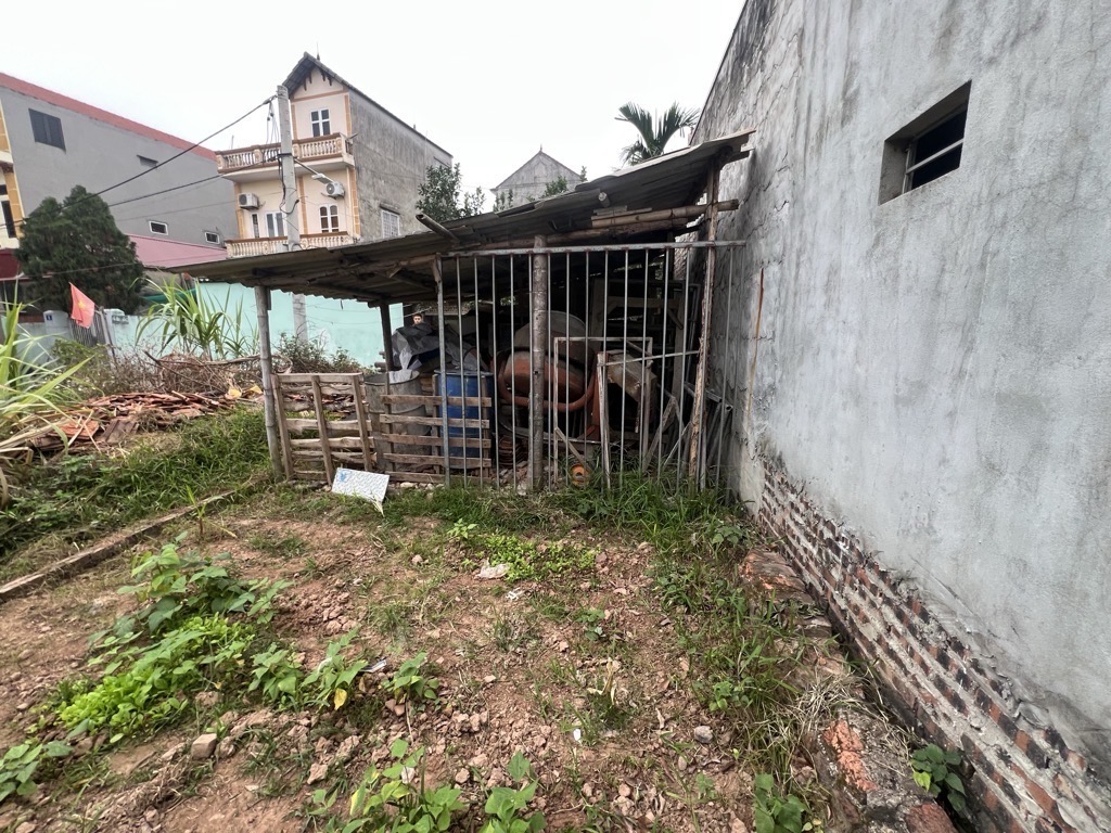 Bán đất tại Phố Dương Quang, Gia Lâm, Hà Nội, 6,5 tỷ, 125m2 - hàng hot chính chủ