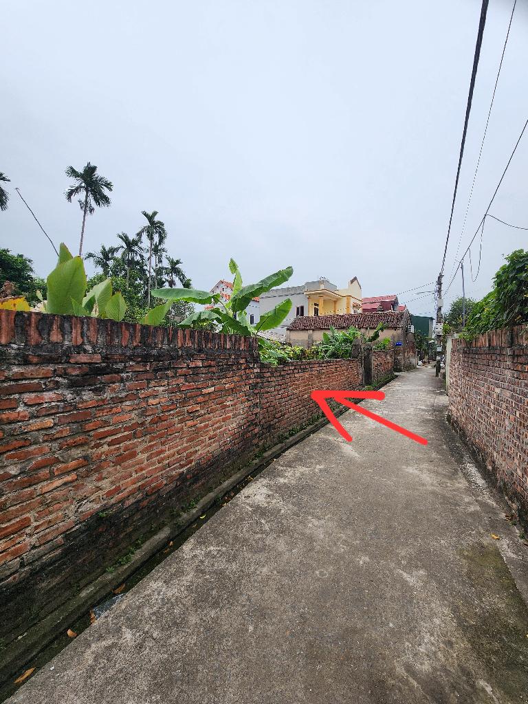 Bán đất tại Phố Dương Quang, Gia Lâm, Hà Nội, 6,5 tỷ, 125m2 - hàng hot chính chủ