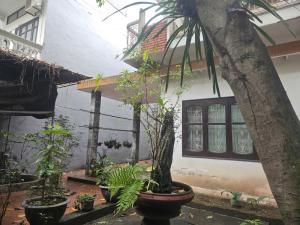 Bán nhà riêng tại Đại La, Thanh Lương, Hai Bà Trưng, Hà Nội, 124 triệu, 193m2