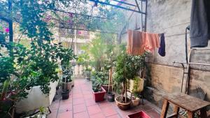 NGUYỄN KHÁNH TOÀN - PHÂN LÔ 2 THOÁNG - SÂN VƯỜN MÁT MẺ - 63M2 - 16 TỶ
