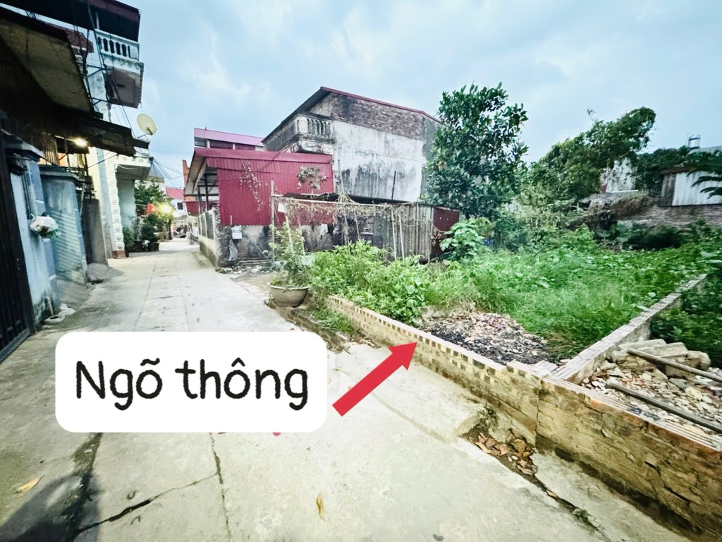 Bán 67m Viên Nội - Vân Nội - Đường Thông Ô Tô Vào Đất - Sát Sườn TTTM Vin Group