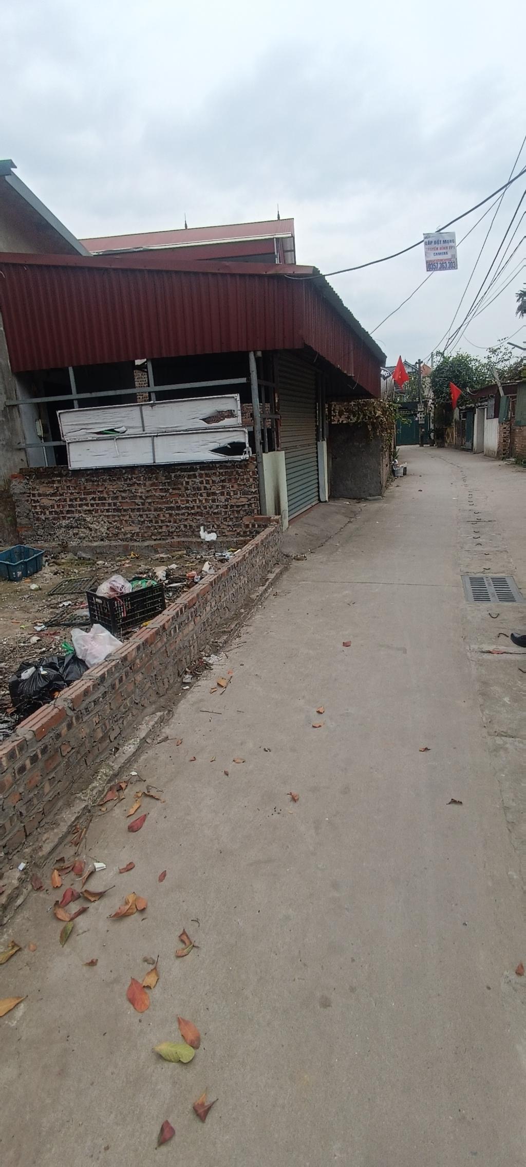 BÁN ĐẤT HẠT DẺ TẶNG KÈM NHÀ MÁI BẰNG TẠI CỔ LOA ĐƯỜNG Ô TÔ VÀO