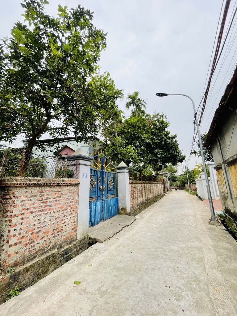 MẶT PHỐ 422B - SƠN ĐỒNG - VỈA HÈ RỘNG