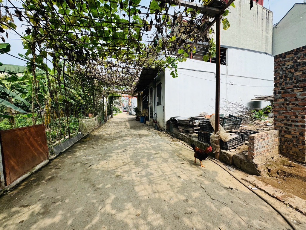 Bán đất Tại Đồng Nhân Hải Bối Đông Anh