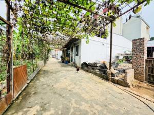 Bán đất Tại Đồng Nhân Hải Bối Đông Anh