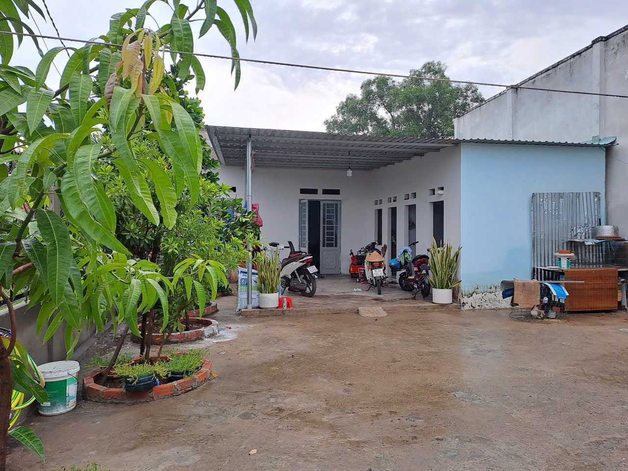 NGỘP THUẾ - BÁN GẤP  228 m2 - Mỹ Lộc, Cần Giuộc,Long An